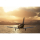 PC Microsoft Flight Simulator Premium Deluxe - 583002 - zdjęcie 6